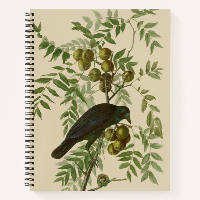 Carnet Audubon American Crow Black Bird (Devant)
