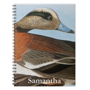 Carnet Audubon : Canard siffleur