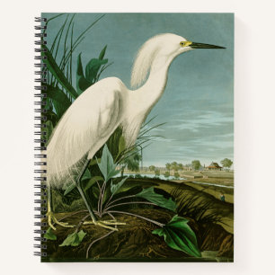 Carnet Audubon Héron de neige Oiseaux d'aigrettes blanche