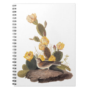 Carnet Audubon Vesper Sparrow et Prickly Pear Cactus