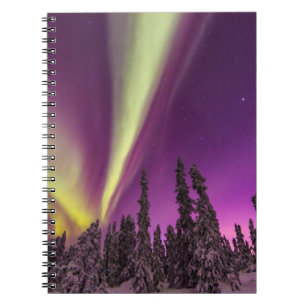 Carnet Aurore Boréale Lumières du Nord Fairbanks Alaska