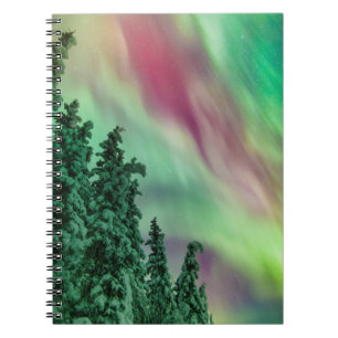 Carnet Aurores boréales   Hiver à Glennallen, Alaska