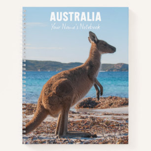 Carnet Australie Kangaroo sur la plage Photo
