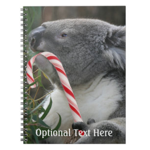 Carnet Australie Noël Koala Bear