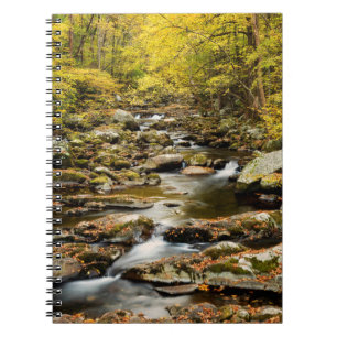 Carnet Automne à Big Creek