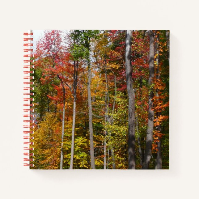 Carnet Automne dans la forêt Colorée Photographie d'autom (Devant)