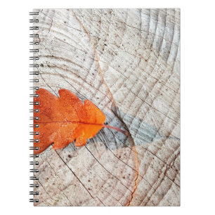 Carnet automne feuilles de chêne
