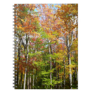 Carnet Automne Forêt II Automne Paysage Photographie