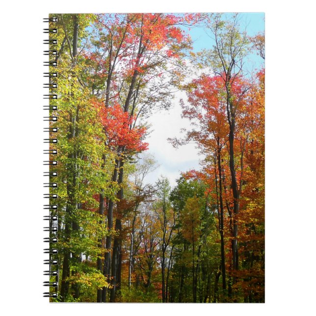 Carnet Automnes Arbres et Ciel bleu Automne Photographie  (Devant)