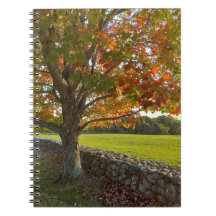 Autumn at Stone Wall Spiral Notebook