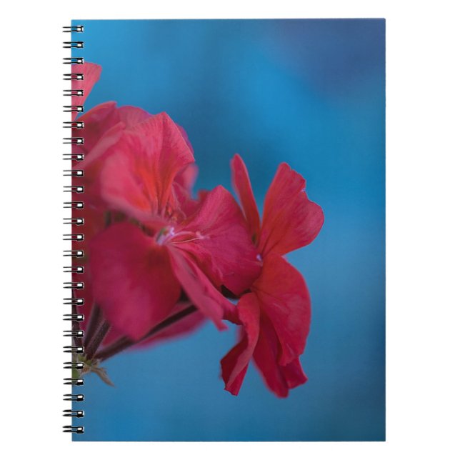 Carnet aux fleurs rouges (Devant)