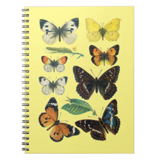Carnet aux papillons régi par l'université