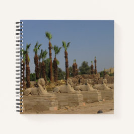 Carnet Avenue des Sphinx