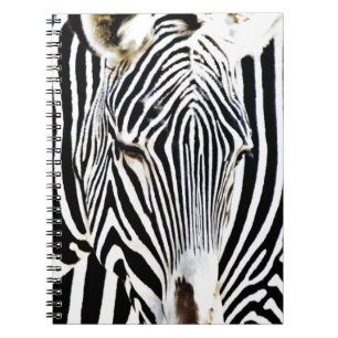 Carnet Awaiting_