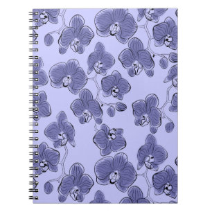 Carnet b
