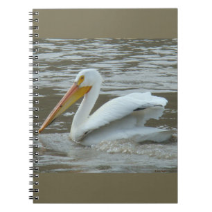 Carnet B14 Pélican blanc sur la rivière boueuse