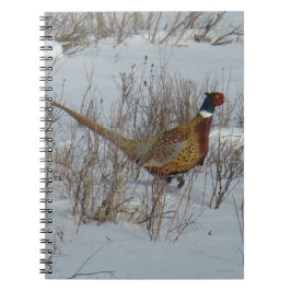 Carnet B23 Faisan de Colchide dans la Neige
