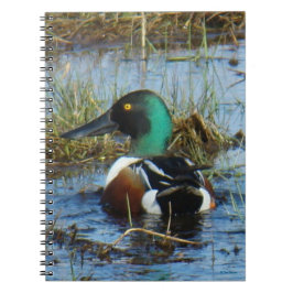 Carnet B25 Canard souchet Cuillère