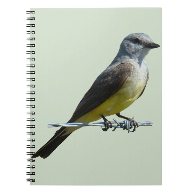 Carnet B45 Tyran de l'Ouest (Devant)