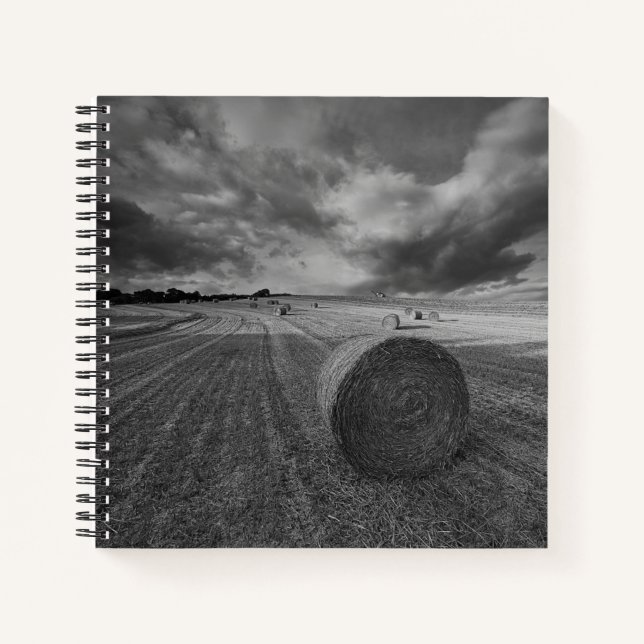 Carnet B&W Barley Field (Devant)