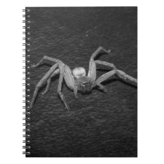 Carnet B&W_Huntsman Spider