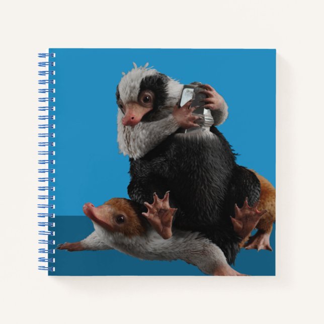 Carnet Baby Nifflers Find A Prize (Devant)