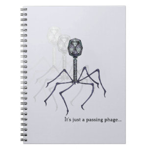 Carnet Bactériophage