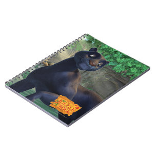 Carnet Bagheera 3