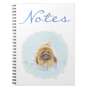 Carnet Bain moussant