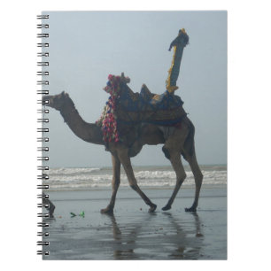 Carnet Balade en chameaux tribaux : Marée matinale Sables