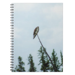 Carnet Balbuzard pêcheur 9028