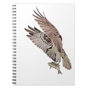 Carnet Balbuzard pêcheur avec poisson