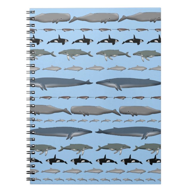Carnet Baleines (Devant)