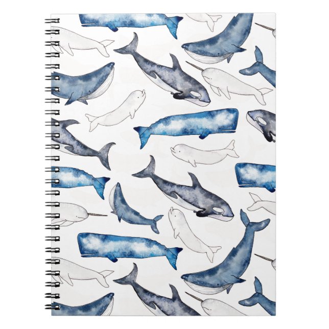 Carnet Baleines d'aquarelle (Devant)