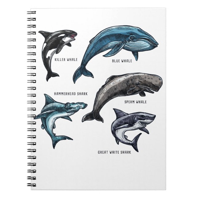 Carnet Baleines et requins Vie marine Design graphique Ad (Devant)