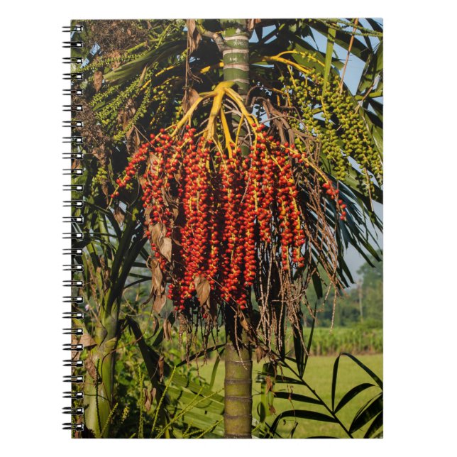 Carnet Bali Palm Fruit Rice Field Notebook (Devant)