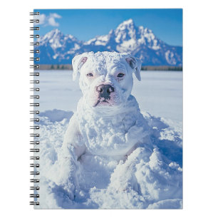 Carnet Balise cadeau Snowman Pitbull Chien Chien Chien Gr
