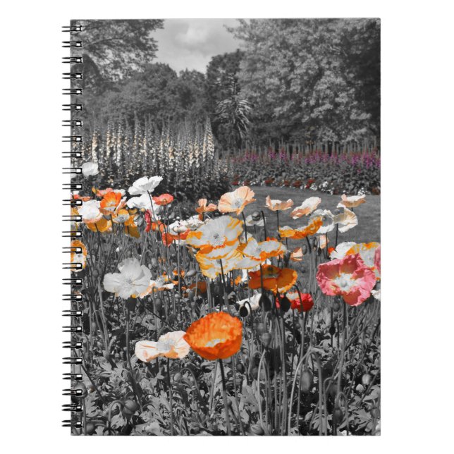 Carnet Ballarat Jardins botaniques Floral (Devant)