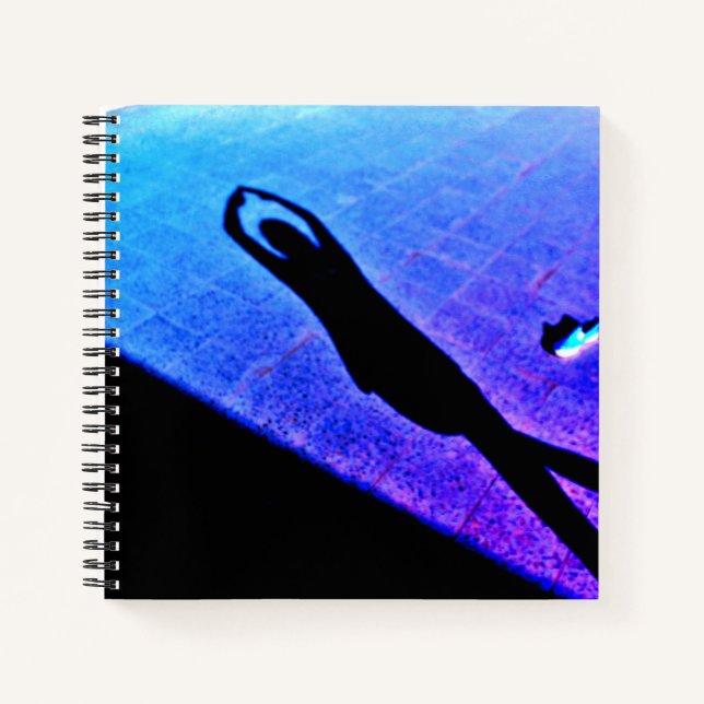 Carnet Ballerina de l'ombre (Devant)