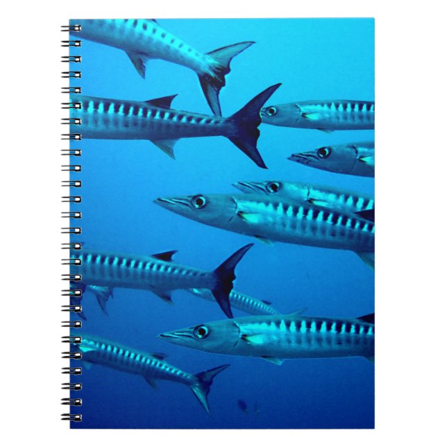 Carnet Barracudas (Devant)