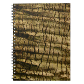 Carnet Barre de palmiers
