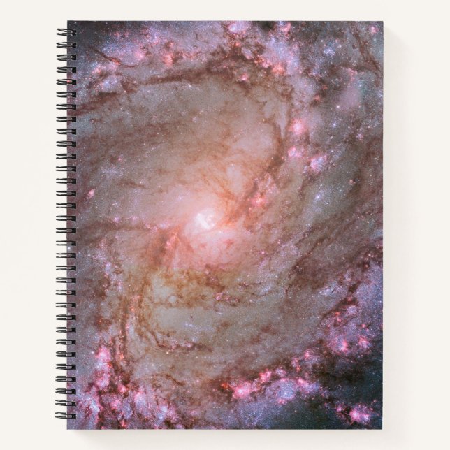 Carnet Barred Spiral Galaxy Messier 83. (Devant)