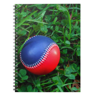 Carnet Baseball Rouge et Bleu avec Stitch Blanc