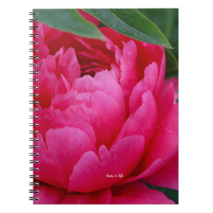 Carnet Bashful Pink Peony