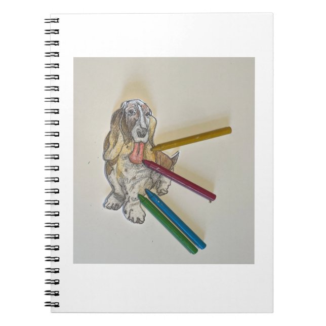 Carnet Bassie's Note Books (Devant)