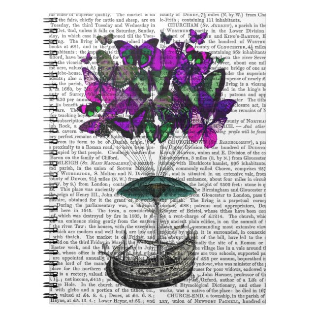 Carnet Bateau papillon 2 violet et vert (Devant)