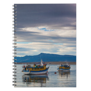 Carnet Bateaux de tourisme sur la baie de Seno Ultima Esp