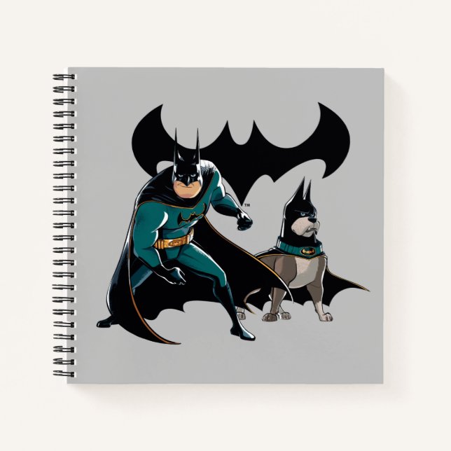 Carnet Batman & Ace (Devant)