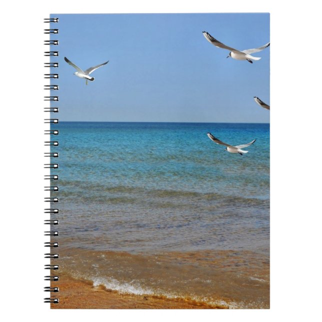 Carnet Beach and Seagulls (Devant)