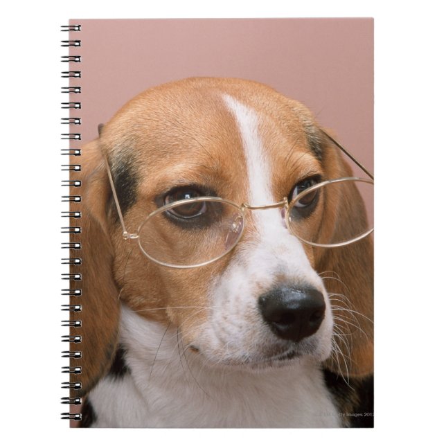 Carnet Beagle (Devant)